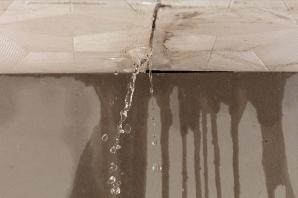 Professional Sewage Cleanup technician working in Hernando, MS